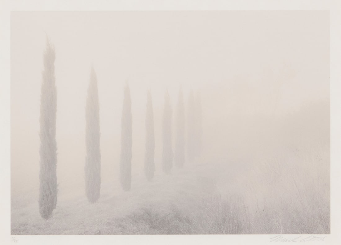 Mark Citret (b. 1949), "Cypresses, Tuscany," 1998: Mark Citret(b. 1949)"Cypresses, Tuscany," 1998Photograph on paperEdition: 1/45Signed, titled, and numbered in pencil in the lower margin: Mark Citret / 1998Image: 6 H x 8.5" W; Sight: 6.5" H x 9" W "