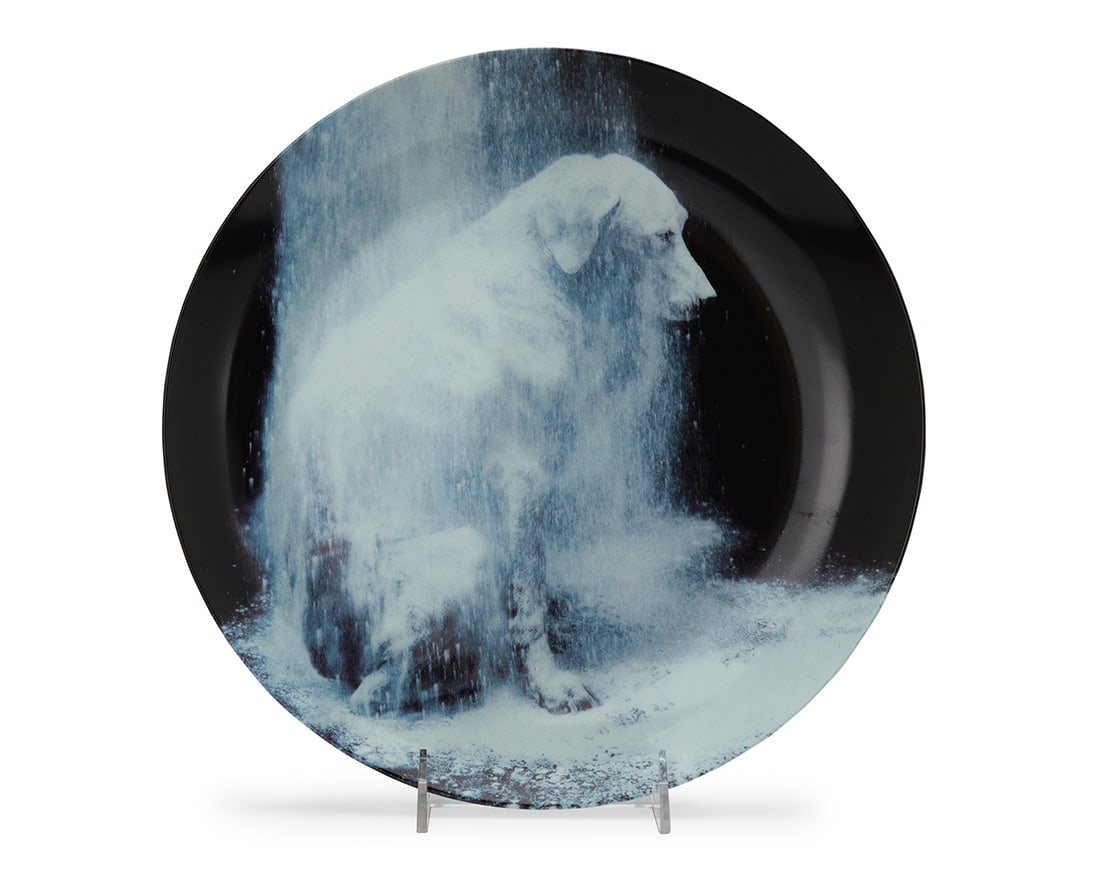 William Wegman (b. 1943), A porcelain plate for Swid Powell, 1995 (1 of 4)