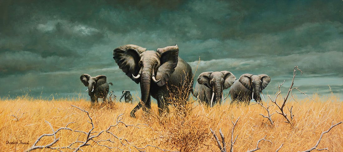 Charles Frace (1926-2005), "Bull Elephants" (Africa), 1972: Charles Frace (1926-2005) "Bull Elephants" (Africa), 1972 Oil on canvas Signed lower left: Charles Frace; signed again, dated, and titled in pencil on the stretcher 16.5" H x 36" W Other notes: