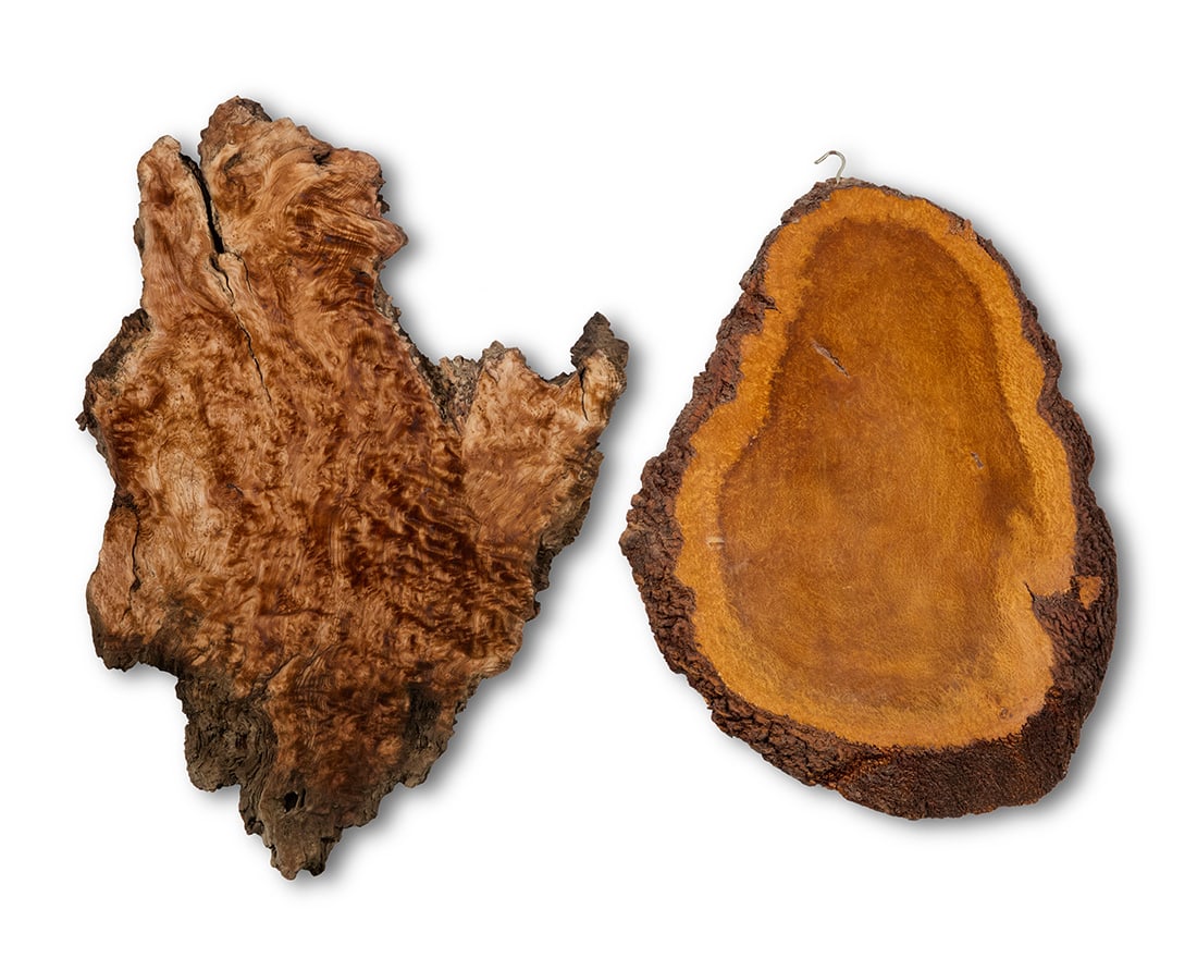 Two live edge burlwood cross sections: Two live edge burlwood cross sections20th centuryThe smaller with a wall-hanging hook2 piecesLarger: 46" H x 32.5" W x 2.25" D; Smaller: 39.5" H x 28" W x 1.875" D