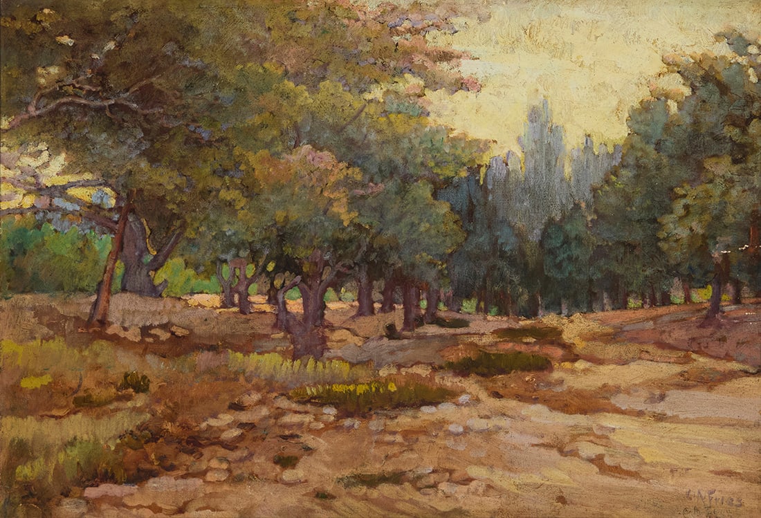 Charles Arthur Fries (1854-1940), Hills behind San Diego (1 of 5)