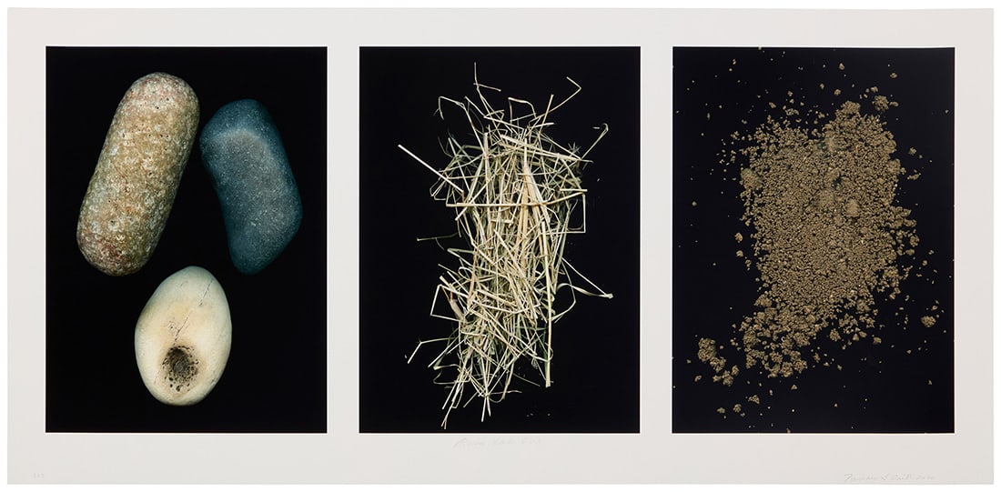 Barbara T. Smith (b. 1948), "Rocks, Weeds, Dirt," 2020 (1 of 7)