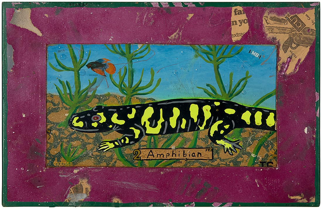 Jeffrey Vallance (b. 1955), "Amphibian # 2," 1981-2 (1 of 8)