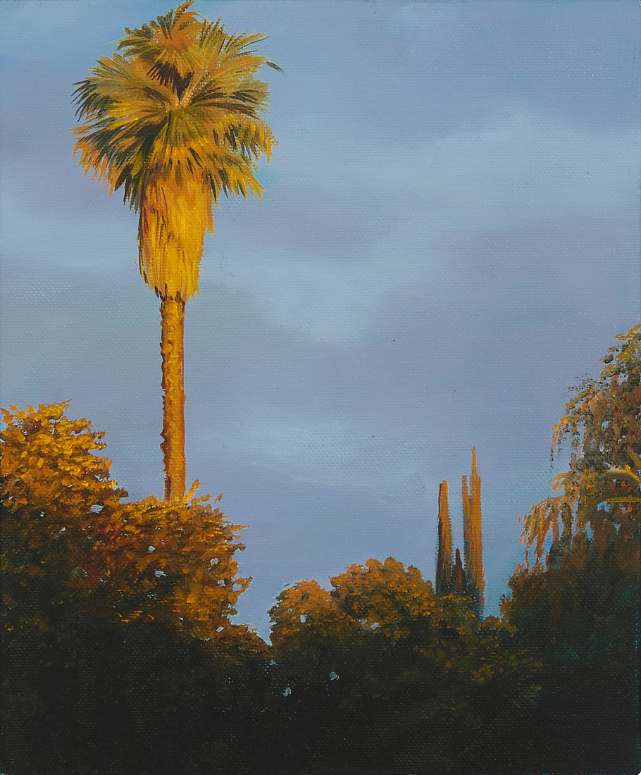 Glenn Ness (b. 1959), Palm in sunset (1 of 4)