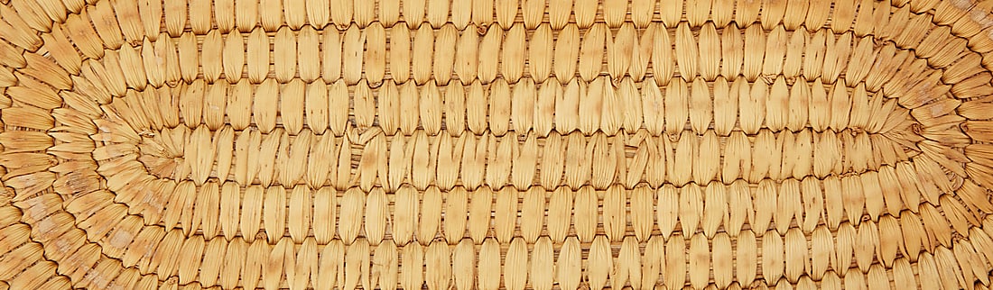 Two Papago baskets - 7