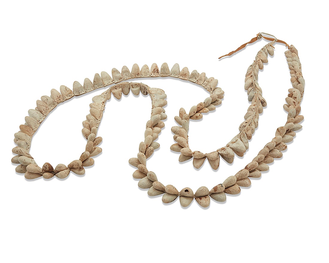A Yaqui rattle of moth cocoons: A Yaqui rattle of moth cocoons Mid/late 19th century; Northern Mexico With tag from Philbrook Museum, Tulsa, OK Each cocoon sewn into a hide strap 110" L Other notes: Cocoon rattles, known among the