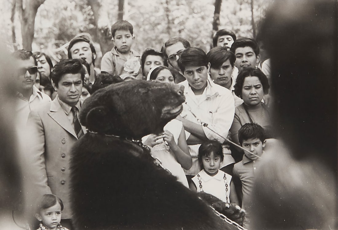 Hector Garcia Cobo (1923-2012, Mexican), "La Bestia Curiosa," 1972: Hector Garcia Cobo (1923-2012, Mexican) "La Bestia Curiosa," 1972 Gelatin silver print on paper From the edition of unknown size Presumably unsigned; titled, dated, and stamped "07602" verso, by reput