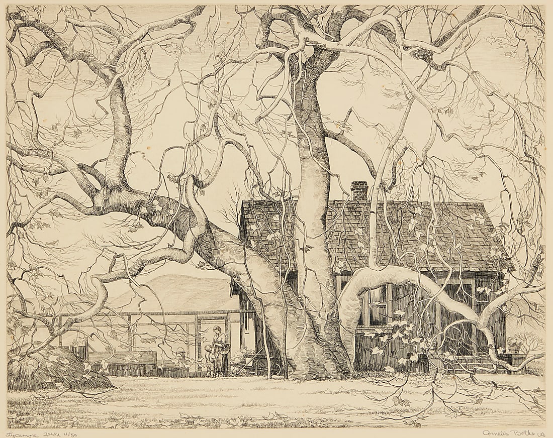 Cornelis Botke (1887-1954) "Sycamore" Etching on paper Edition: 11/50 (2nd edition), printed (1 of 6)