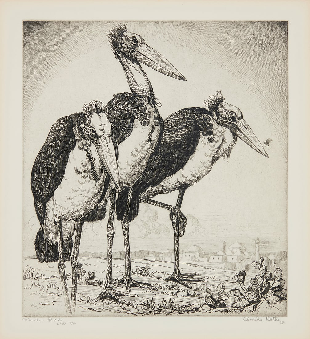 Cornelis Botke (1887-1954) "Marabou Storks" Etching on paper Edition: 13/50 (2nd edition), (1 of 6)