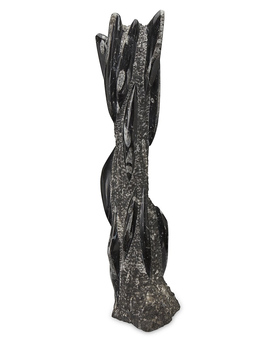 An orthoceras fossil specimen (1 of 7)