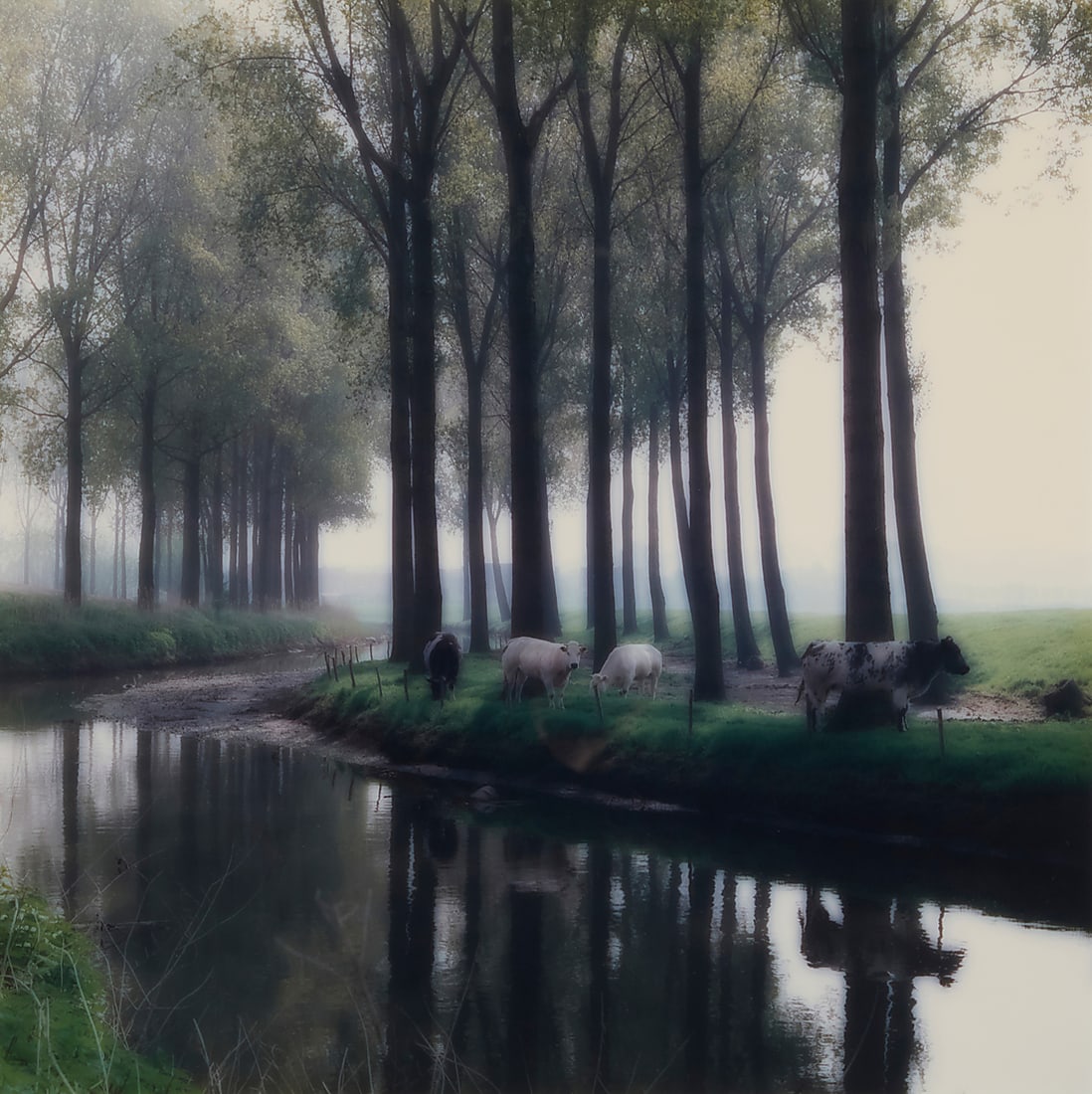 Lynn Geesaman (1938-2020), "Parc de Seaux, France": Lynn Geesaman (1938-2020) "Parc de Seaux, France" Chromogenic print on photographic paper From the edition of unknown size and date Appears unsigned; titled by repute Sight: 18 3/4 x 18 3/4in