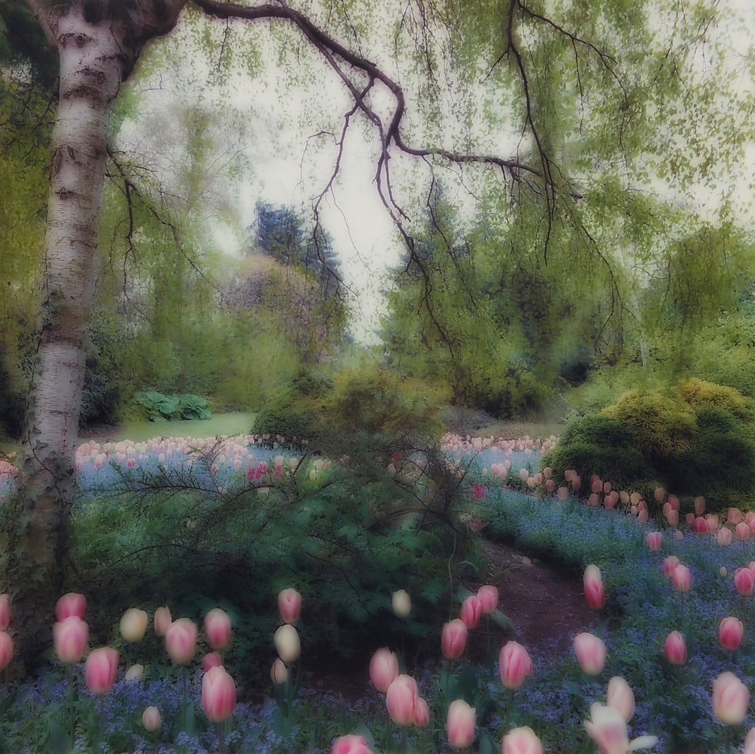 Lynn Geesaman (1938-2020), Flowering garden: Lynn Geesaman (1938-2020) Flowering garden Chromogenic print on photographic paper From an edition of unknown size and date Appears unsigned 18 3/4 x 18 3/4in