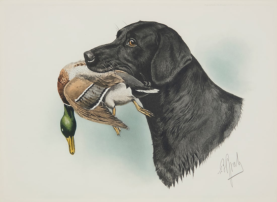 Boris Riab (1898-1975), Black lab with mallard duck: Boris Riab (1898-1975) Black lab with mallard duck Lithograph in colors on wove paper From the edition of unknown size Signed in pencil lower right: B Riab; Ch. Ducher & Cie, Paris, France, pub., with