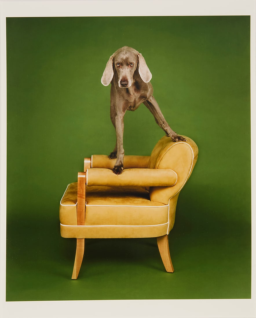 William Wegman (b. 1943), "About Four Thirty," 1997 (1 of 5)