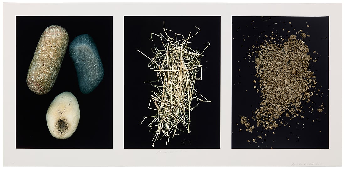Barbara T. Smith (b. 1948), "Rocks, Weeds, Dirt," 2020: Barbara T. Smith (b. 1948) "Rocks, Weeds, Dirt," 2020 Archival pigment print on thick wove paper A bon à tirer impression, aside from the edition of 50 Signed, titled, dated, and inscribed "B.A.T."