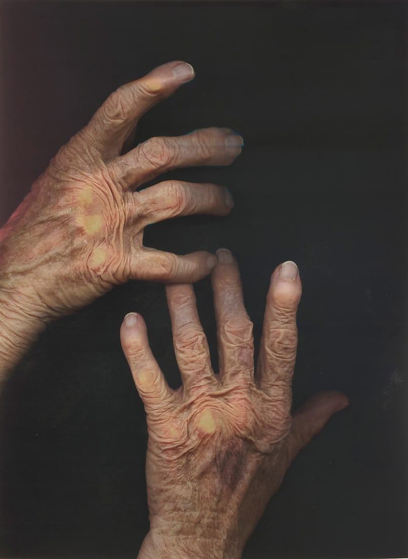 Barbara T. Smith (b. 1948), "Signifier 2," 2016: Barbara T. Smith (b. 1948) "Signifier 2," 2016 Archival inkjet print on thick wove paper A bon à tirer impression, aside from the edition of 35 Signed, dated, and inscribed "B.A.T" in pencil near the