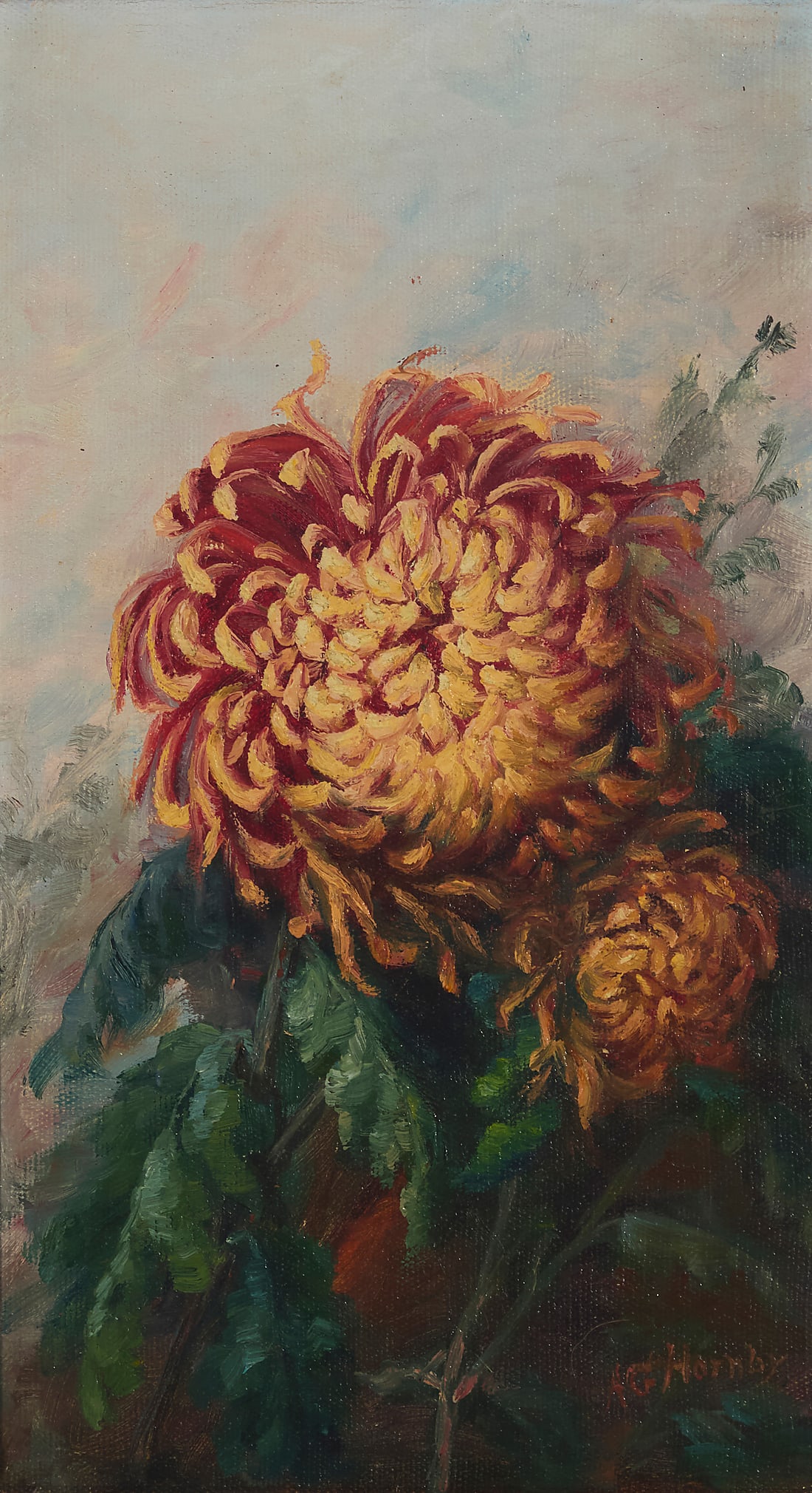 Alice Gibson Hornby (1860-1960), Chrysanthemum (1 of 5)