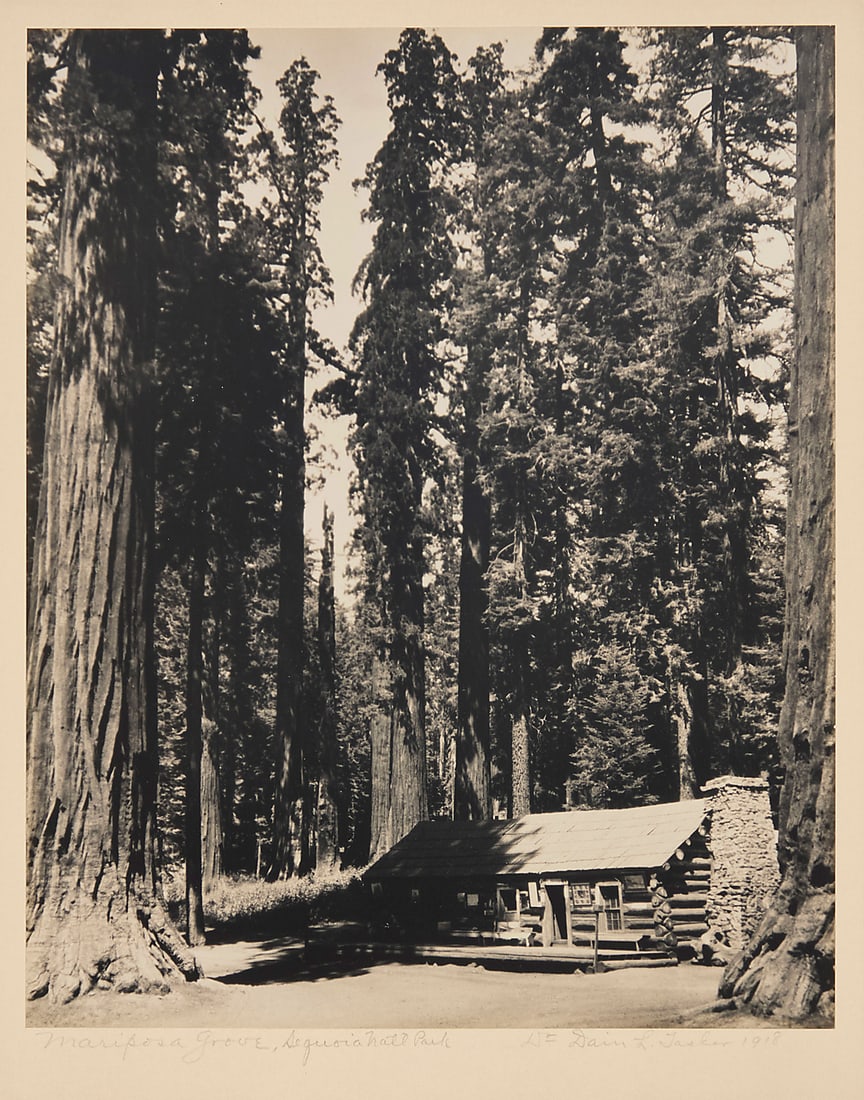 Dain L. Tasker (1872-1964), "Mariposa Grove, Sequoia Nat'l Park," 1918: Dain L. Tasker (1872-1964) "Mariposa Grove, Sequoia Nat'l Park," 1918 Gelatin silver print on paper mounted to paperboard From the edition of unknown size Signed, titled, and dated in pencil on the