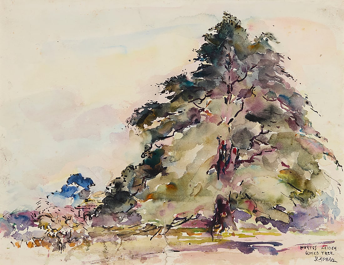 Joseph Raphael (1869-1950), "Hortus Leiden / Gingko Tree" (1 of 5)