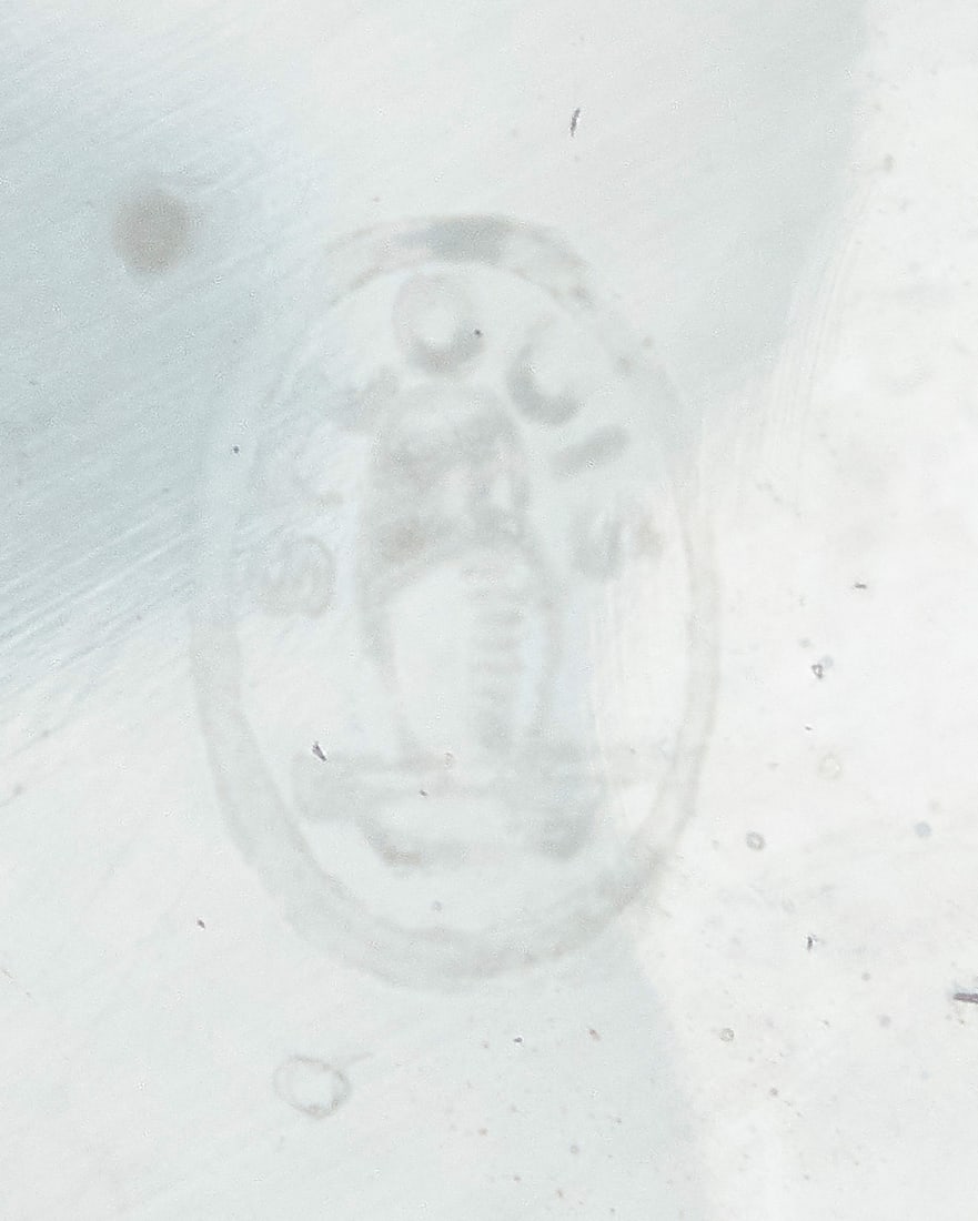 Three glass table items - 5