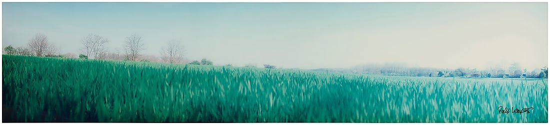 Ralf Kaspers (b. 1957) Untitled, grassy landscape, 2002 C-print in colors on paper face mounted (1 of 5)