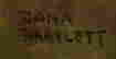 item-20697896=3