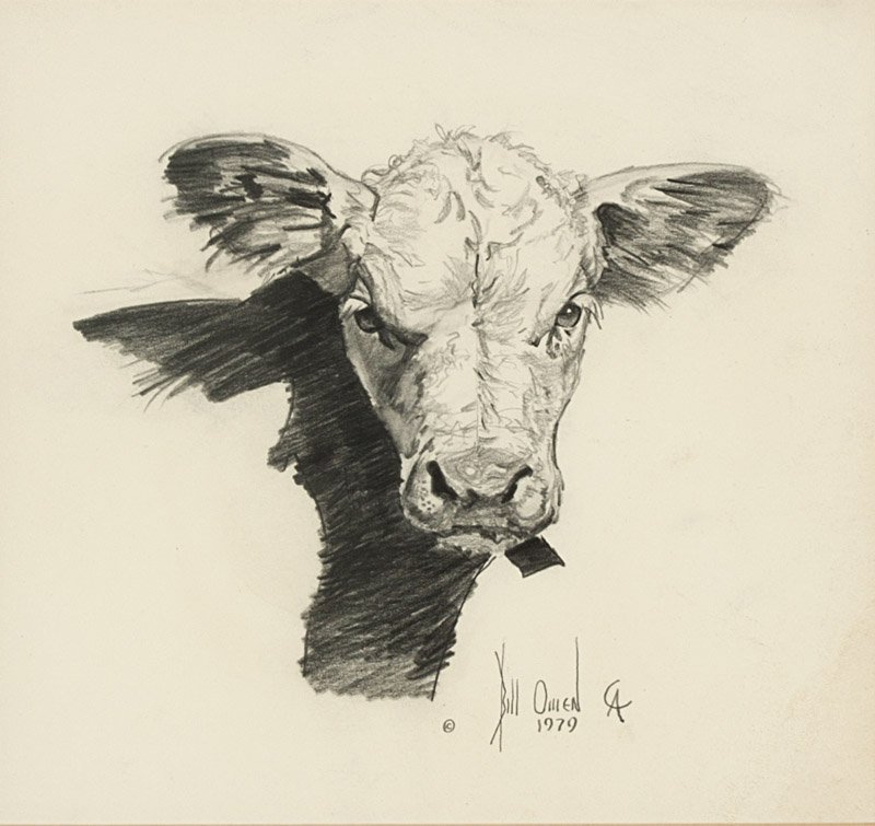 Bill Owen (1942-2013 Kirkland, AZ): Cow head, signed and dated with copyright symbol lower center: Bill Owen / 1979 and artist's 'CA' brand, graphite on paper under glass, sight size: 7.5'' H x 8'' W, est: $600/800 Provenance: Private C