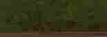 item-40694993=2