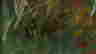 item-45544485=3