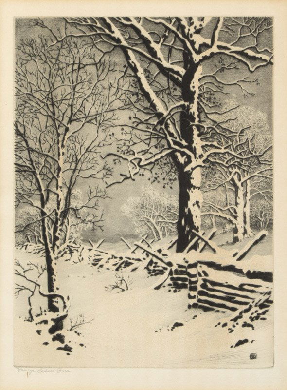 George Elbert Burr (1859-1939 Phoenix, AZ) (1 of 2)