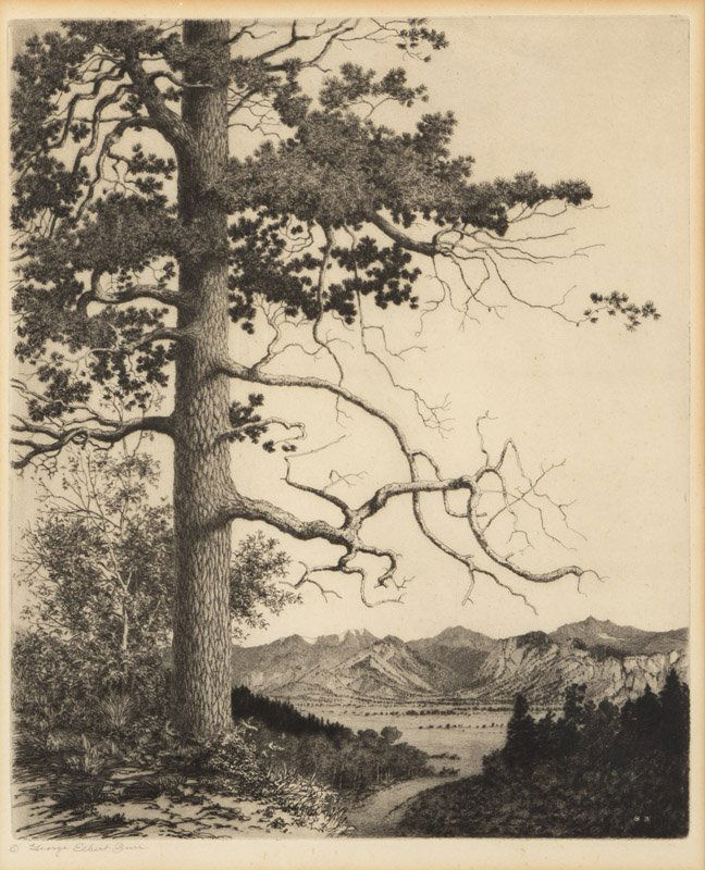 George Elbert Burr (1859-1939 Phoenix, AZ) (1 of 2)