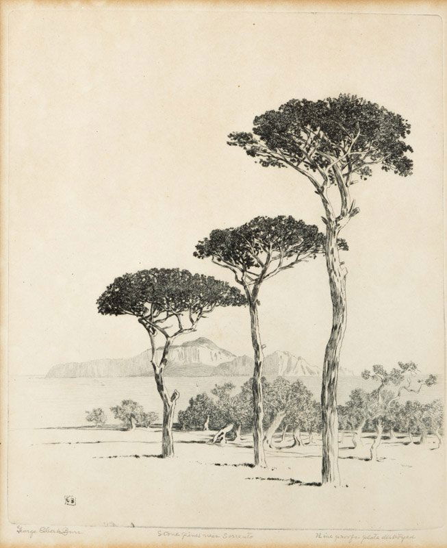 George Elbert Burr (1859-1939 Phoenix, AZ) (1 of 2)