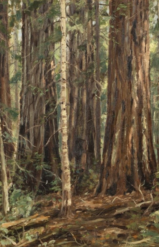 Lowell Davenport (1903-1984 Watsonville, CA): ''Redwoods'', Eel River, CA (Irving Roger's Ranch), 1931, signed lower right: Lowell Davenport, titled, inscribed and dated in another hand verso , oil on canvas laid to board, 19.25'' H x 12.75'' W, 