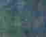 item-50337662=2