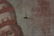Spanish Colonial Oil on Canvas of The Holy Trinity - 5