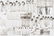 Camellia by Gorham 245 Piece Sterling Silver Flatware