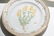 Flora Danica by Royal Copenhagen Set 12 Dinner Plates - 2