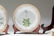 Flora Danica by Royal Copenhagen Set 12 Dinner Plates - 3