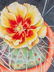 Marilyn Redding, "Bloom", watercolor, sight: 12 x 9"