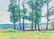 Gilbert F. Neumann (1906-1970), Trees, oil on board