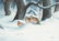 Walt Cude (b. 1933), "First Snowfall", watercolor,
