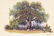 Loveta Strickland (b. 1928), Hill Country Live Oak, oil