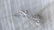 Group of 4 Pieces of Sterling Serving Dishes - 4