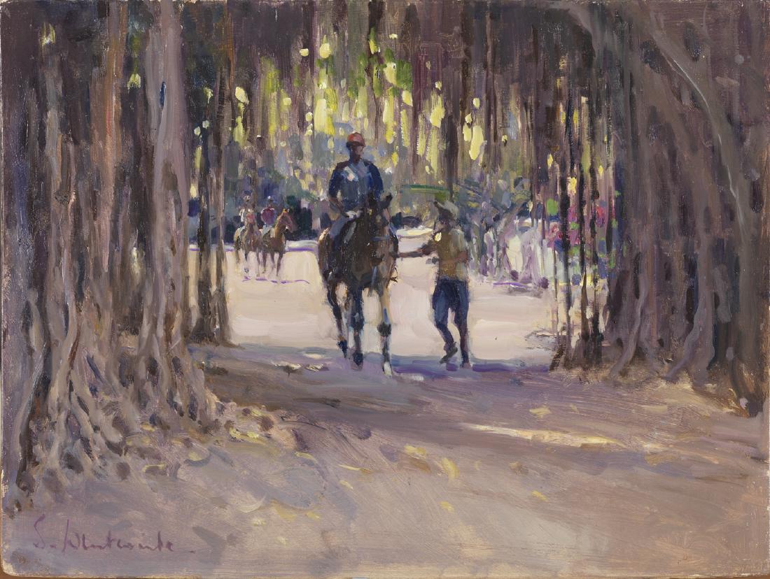 BANYAN TREES, MAURITIUS by Susie Whitcombe (1 of 1)