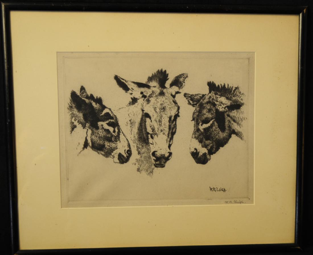 Portrait of Pack Donkeys  drypoint etching by William (1 of 1)