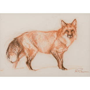 Andre Pater - Study of a Red Fox: Andre Pater Polish/American, b. 1953 Study of a Red Fox Pastel Signed