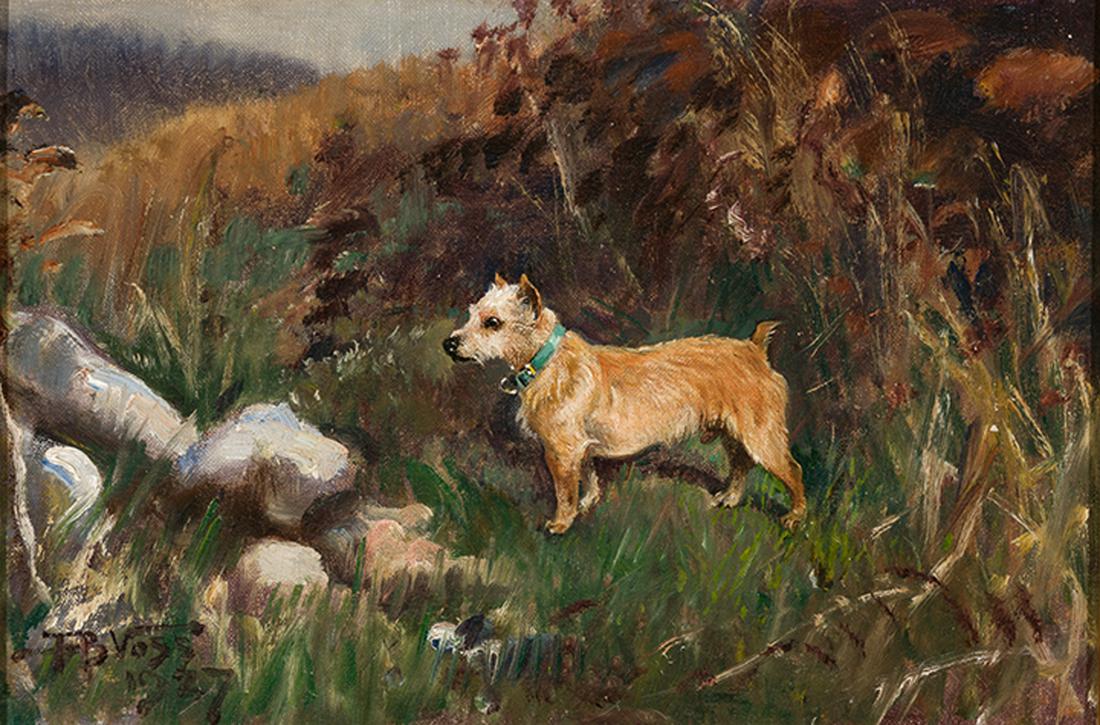 Franklin Brooke Voss - Cinnamon, Study of a Norwich Terrier (1 of 2)