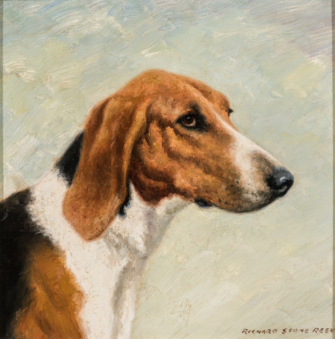 Richard Stone Reeves  -  Foxhound Study (1 of 2)