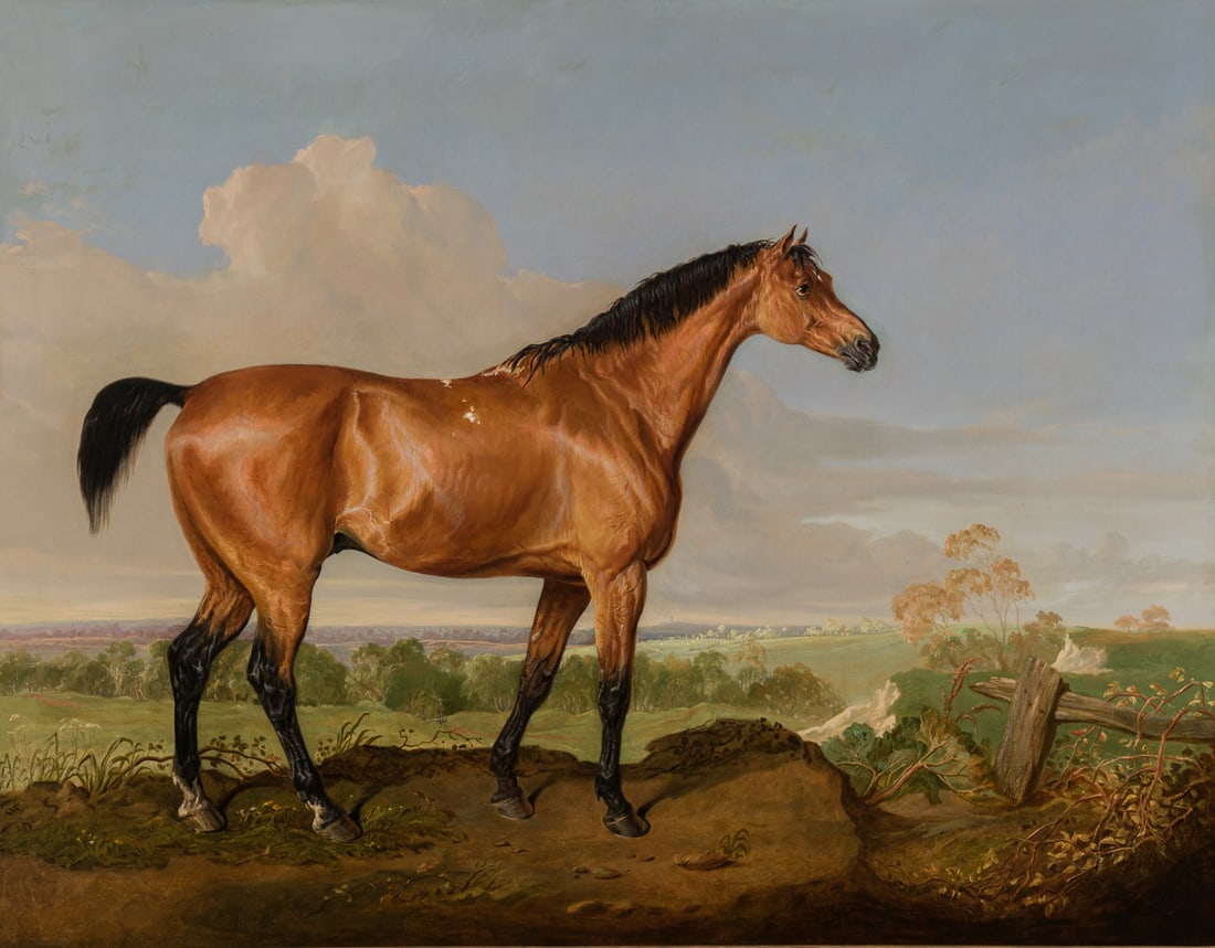 Ward, James  -  A Bay Stallion in an Extensive Landscape (1 of 3)