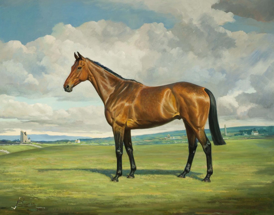 Jean Bowman - ARKLE (1 of 1)